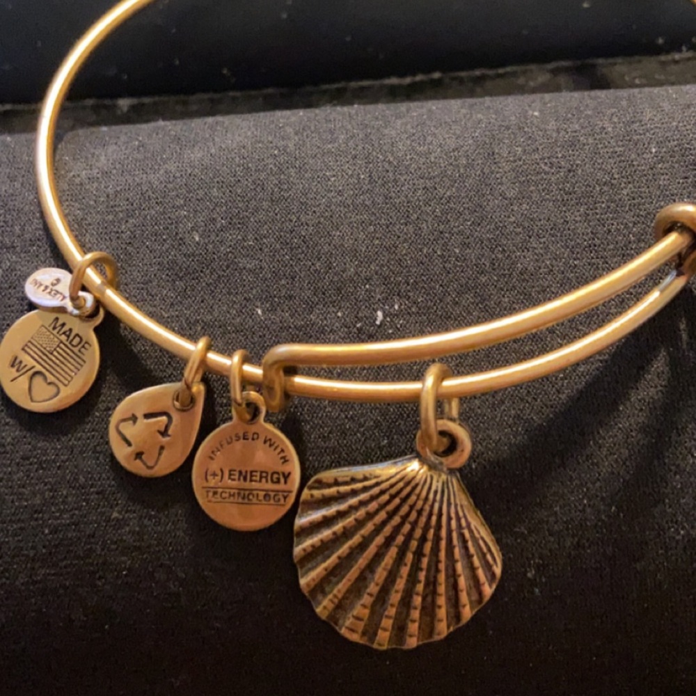 Alex and Ani 2 Bracelet Set